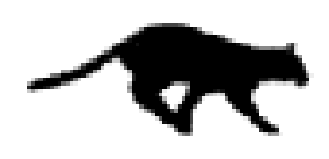 running panther 