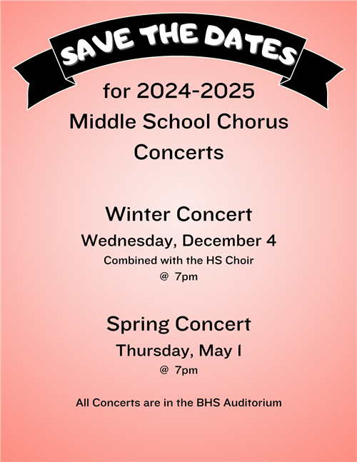 Pink Concert 2025 Image