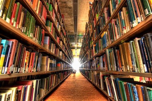 PublicLibraryShelves 